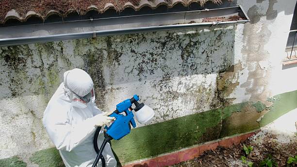 Top rated local Crawl Space Mold Remediation specialists in Darlington, MD